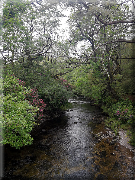 foto Parco di Killarney